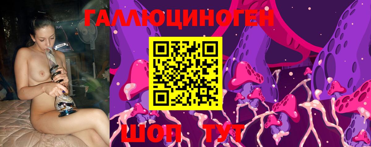 Звенигород  Псилоцибиновые грибы Psilocybe  Вход с VPN 