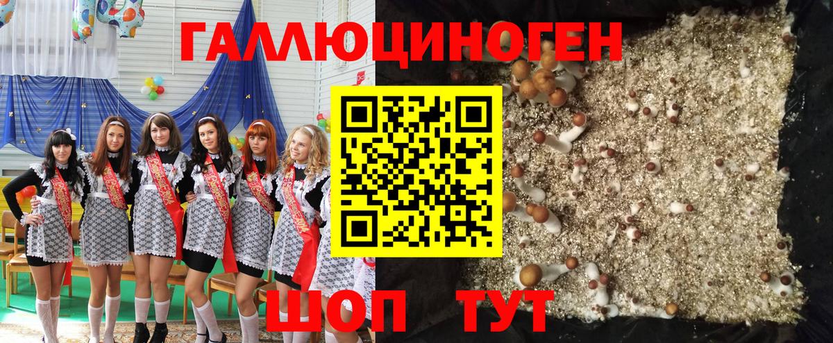 Галлюциногенные грибы Magic Shrooms Звенигород